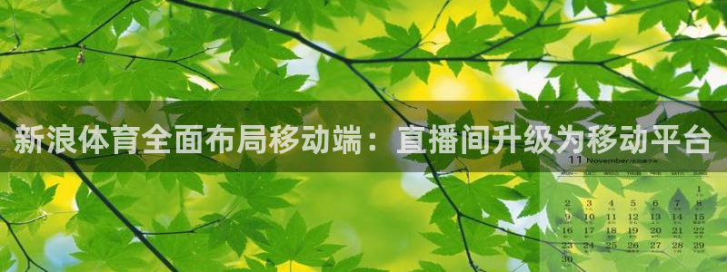 新浪体育全面布局移动端：直播间升级为移动平台