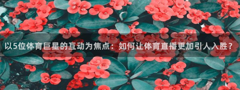 以5位体育巨星的互动为焦点：如何让体育直播更加引人入胜？