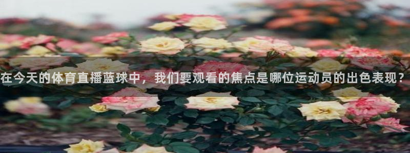 在今天的体育直播蓝球中，我们要观看的焦点是哪位运动员的出色表现？