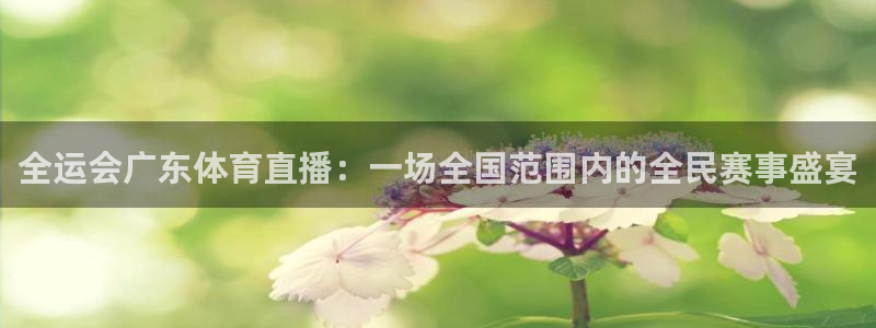 全运会广东体育直播：一场全国范围内的全民赛事盛宴