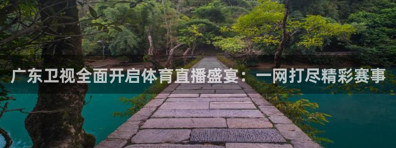 广东卫视全面开启体育直播盛宴：一网打尽精彩赛事
