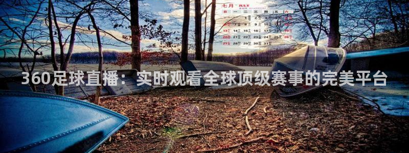 360足球直播：实时观看全球顶级赛事的完美平台